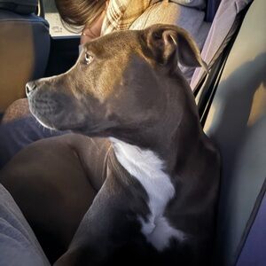 Meet your Posher, Emi